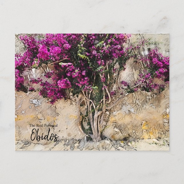 Obidos Färger Portugal  Vykort (Framsida)