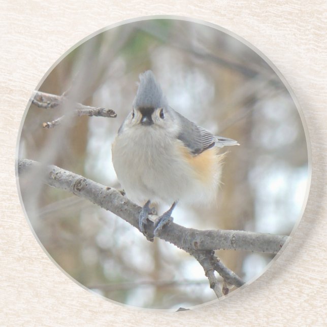 Objekt med tuftad timus (béolophus bicolor) underlägg sandsten (Framsidan)