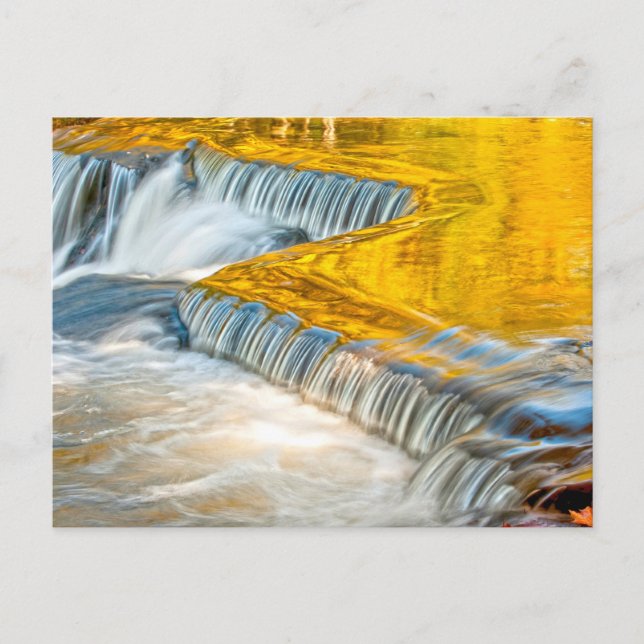 Obligationsfickor som reflekterar Höst färger Vykort (Framsida)