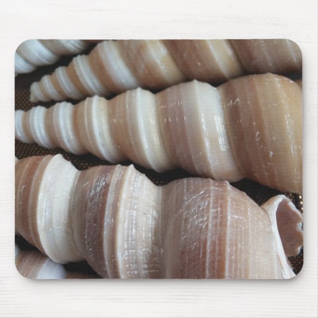 Oblong Summer Seashells, sommarsäsong Musmatta (Framsidan)