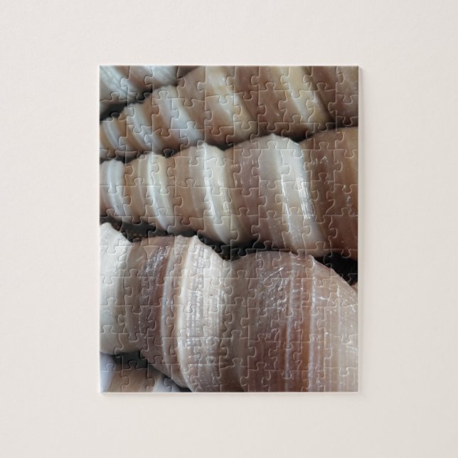 Oblong Summer Seashells, sommarsäsong Pussel (Vertikal)