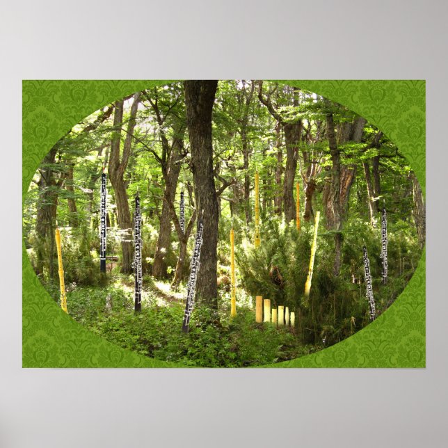 Oboe Forest Poster (Framsidan)