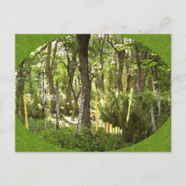 Oboe Forest Vykort