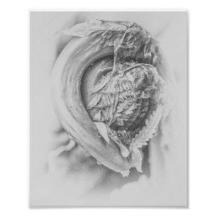 Obotande Woodland Fern Black and White Print 3 Fototryck