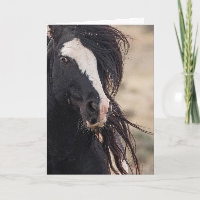 OBS-kort Kort (Framsida)