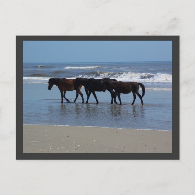 OBS VYKORT (Framsida)