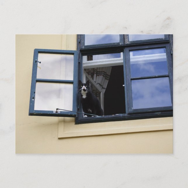 Observatör Vykort (Framsida)