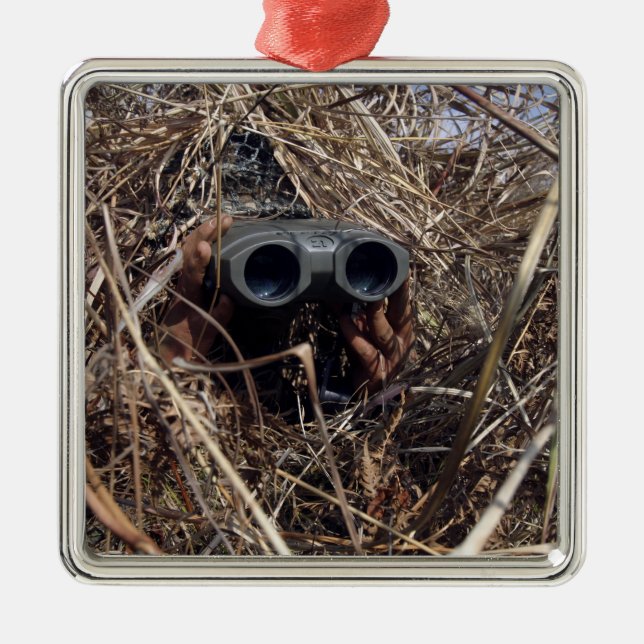 Observatörens observationsteknik 2 julgransprydnad metall (Framsidan)