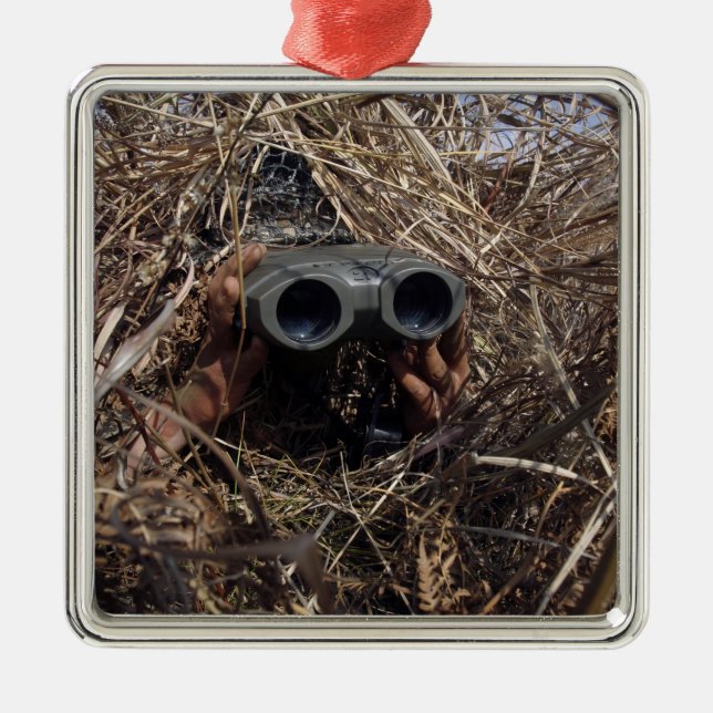 Observatörens observationsteknik julgransprydnad metall (Framsidan)