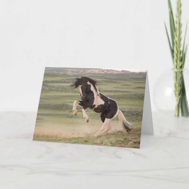 Observera "Aldrig the Warrior" Kort (Framsida)