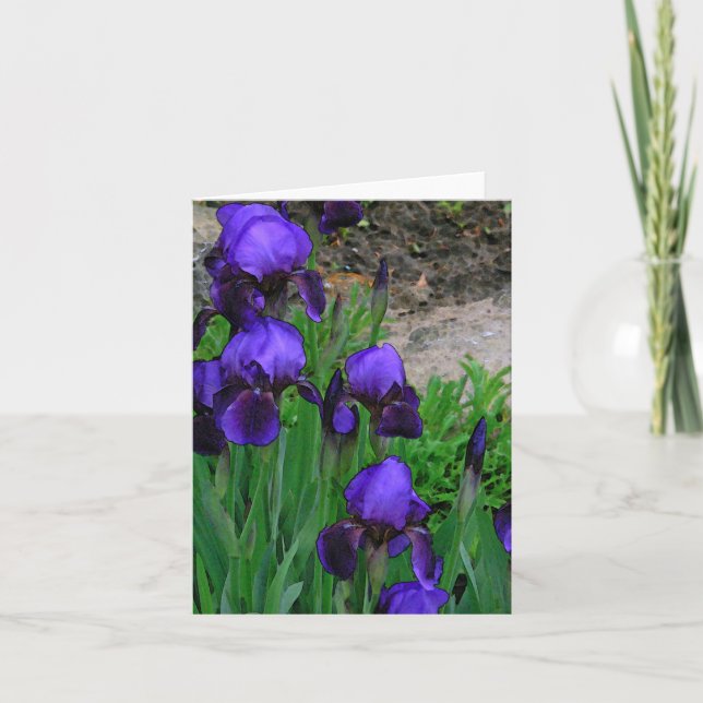OBSERVERA "DEEP-LILA IRISES" /PHOTOG. KORT (Framsida)