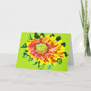 Observera Kort/gaillardia-filtblommor, fleråriga Kort