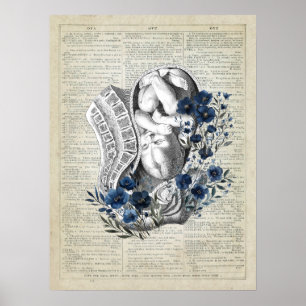 Obstetrics Baby i Womb Anatomy Blue Blommigt Art Poster
