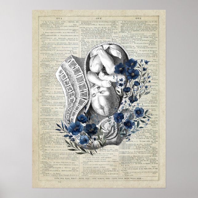 Obstetrics Baby i Womb Anatomy Blue Blommigt Art Poster (Framsidan)