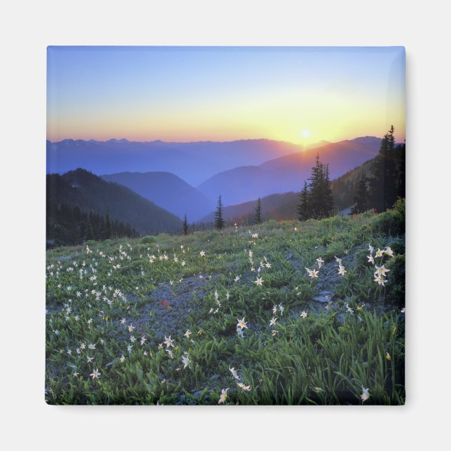 Obstruciton Point Solnedgång, Olympic NP, WA, USA Magnet (Framsidan)