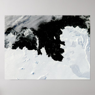 Öbukten gräs i Väster Antarctica Poster