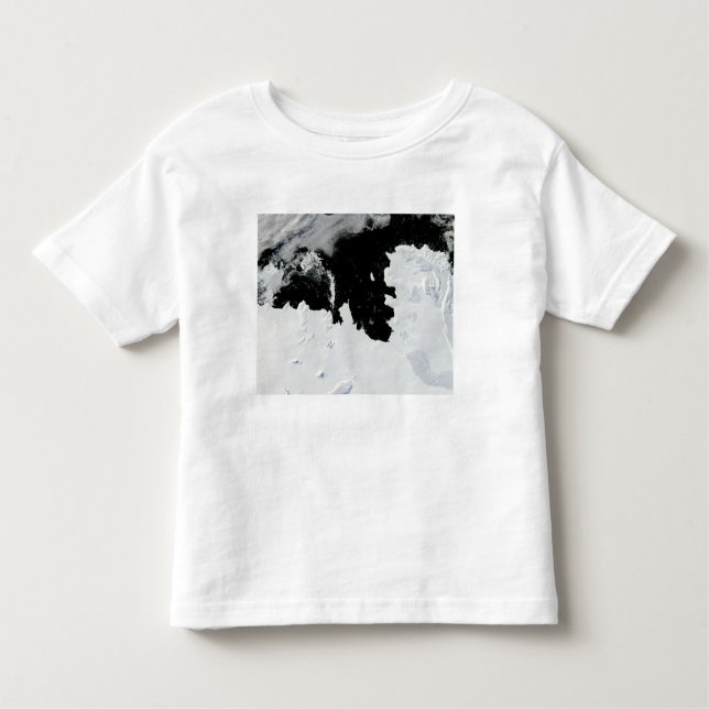 Öbukten gräs i Väster Antarctica T Shirt (Framsida)