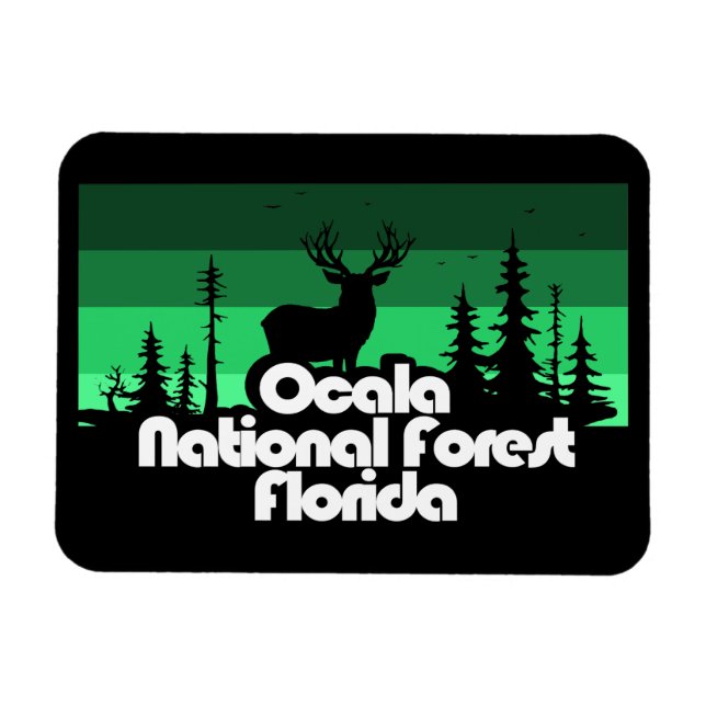 Ocala National Forest Florida Magnet (Horisontell)