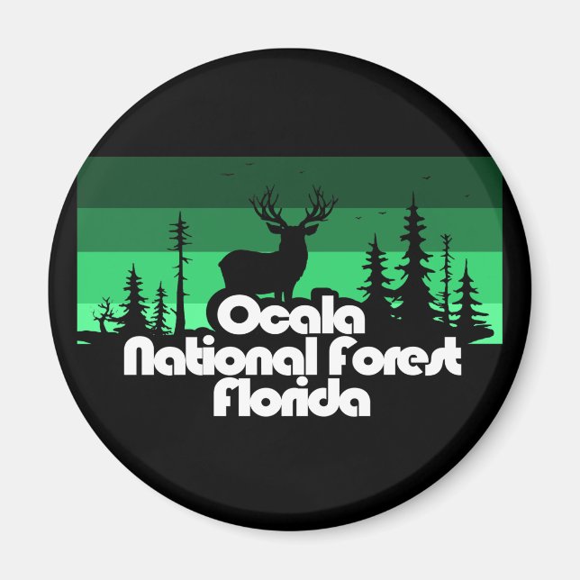 Ocala National Forest Florida Magnet (Framsidan)