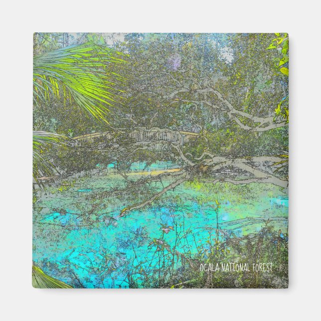 Ocala National Forest Florida Magnet (Framsidan)