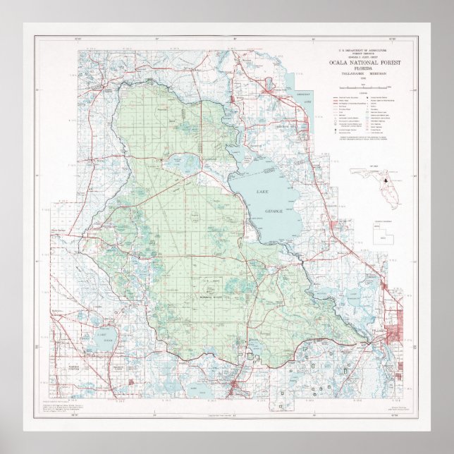 Ocala National Forest Karta (1971) Florida Woodlan Poster (Framsidan)