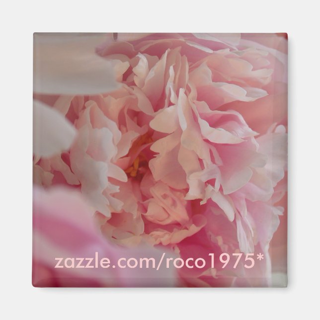 Occhiata Magnet (Framsidan)