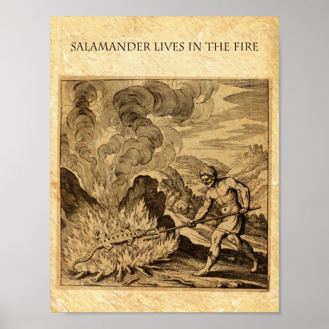 OCCULT BRANDSALAMANDER POSTER (Framsidan)