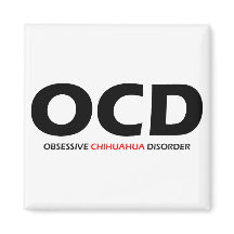 OCD - överdriven Chihuahua - störning