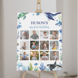Ocean Animal Boy Birthday Photo Milestone-tecken Poster
