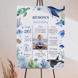 Ocean Animal Boy Kid Birthday Milestone Sign Poster