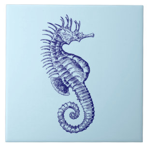 Ocean Beach Seahorse Kakelplatta
