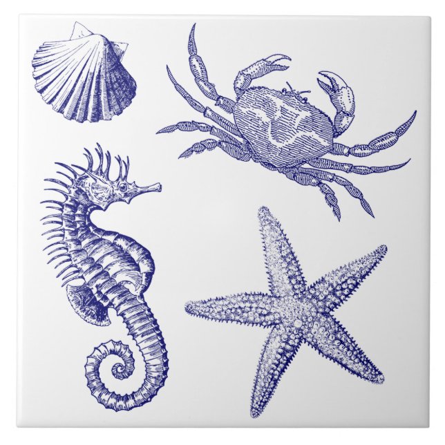 Ocean Beach Seahorse Starfish Crab & Snäcka Mönste Kakelplatta (Framsidan)