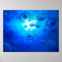 Ocean Blue Jellyfish Photo