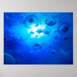 Ocean Blue Jellyfish Photo Poster