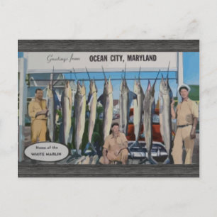 Ocean City, Maryland Home of the White Marlin, Vin Vykort