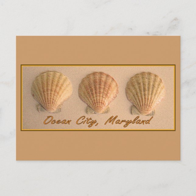 Ocean City, Maryland vykort (Framsida)