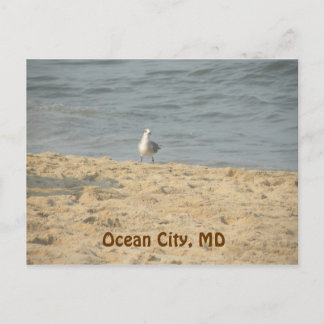 Ocean City, MD Postcard Vykort