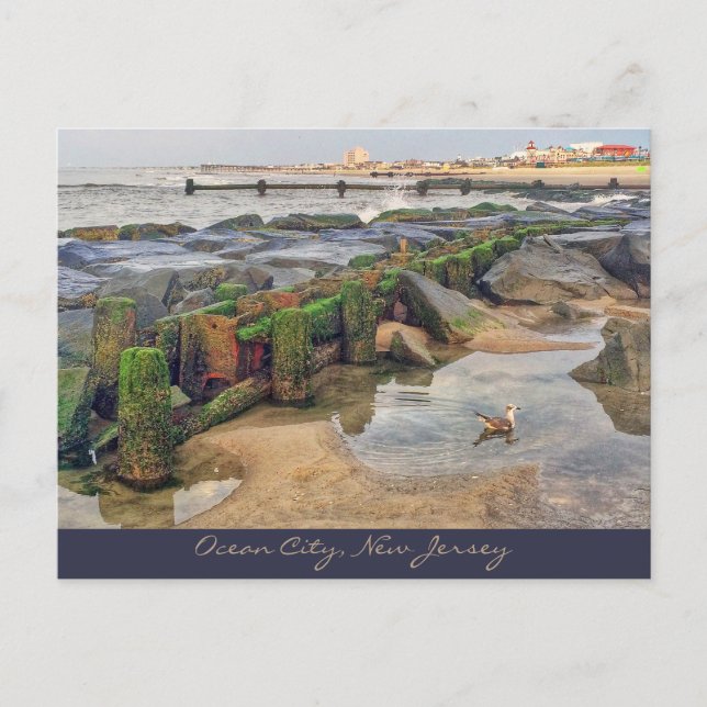 Ocean City, New jersey efter kort-morgon-simmer Vykort (Framsida)