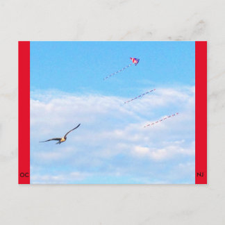 Ocean City, New jersey Post Card-Fly Vykort