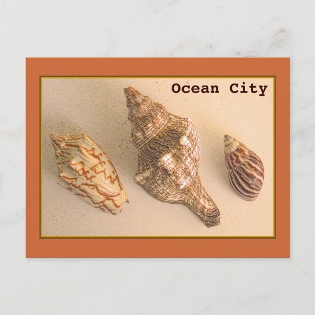 Ocean City Snäckors vykort (Framsida)