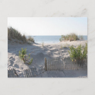 Ocean Citydynerna Vykort