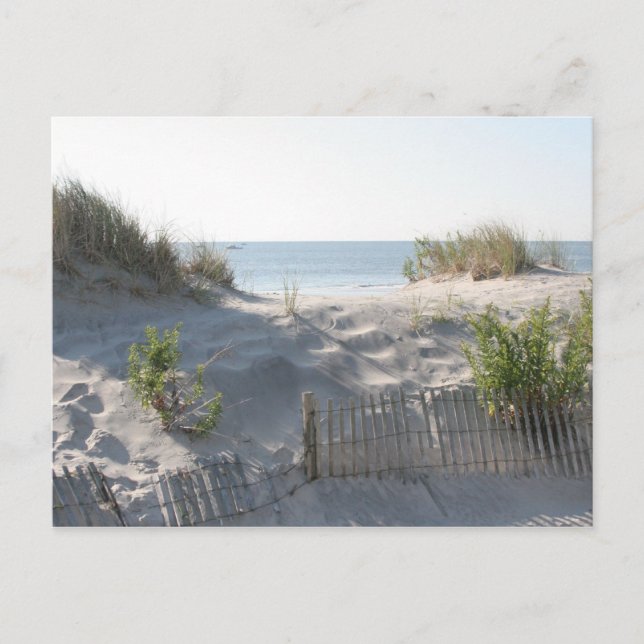 Ocean Citydynerna Vykort (Framsida)