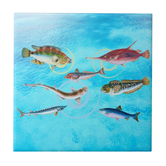 Ocean Delight Kakelplatta (Framsidan)