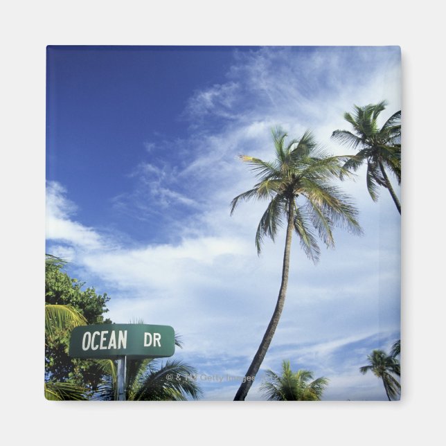 Ocean Drive-vägskylt, South Beach, Miami, Florid Magnet (Framsidan)