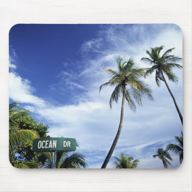 Ocean Drive-vägskylt, South Beach, Miami, Florid Musmatta (Framsidan)