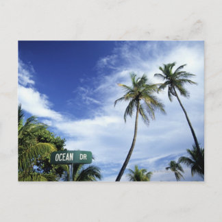 Ocean Drive-vägskylt, South Beach, Miami, Florid Vykort