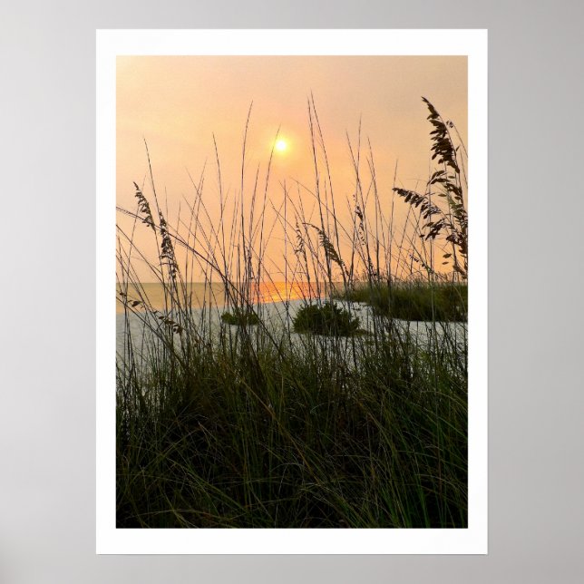 Ocean Dunes Poster (Framsidan)