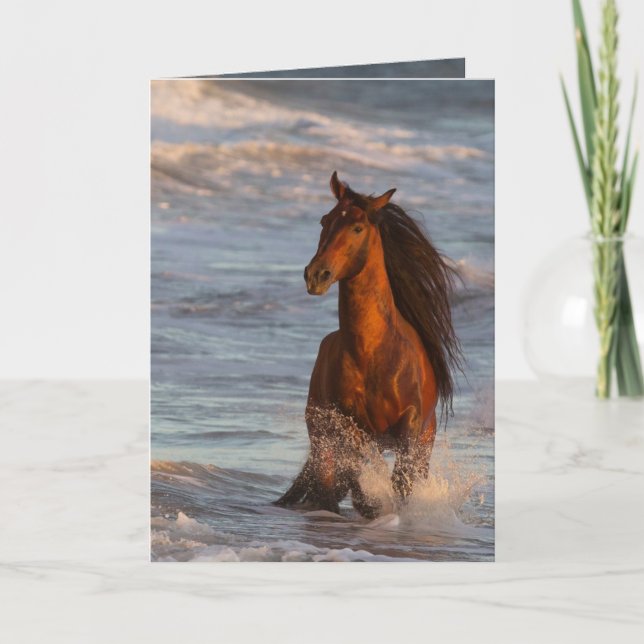 Ocean Horse at Sunset Horse Greeting Card Kort (Framsida)