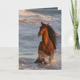 Ocean Horse at Sunset Horse Greeting Card Kort