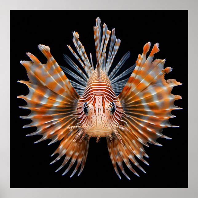 Ocean Life Poster (Framsidan)